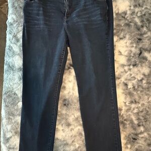 Lane Bryant Dark Blue Skinny Jeans